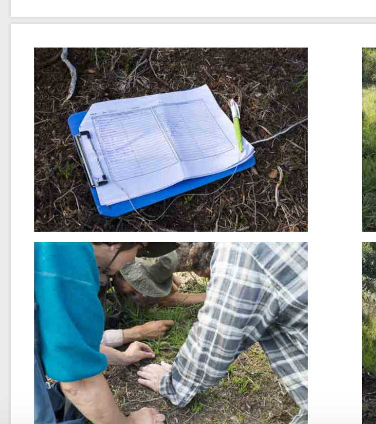  - BRUNO SERRALONGUE: Comptes rendus photographiques...   lancement du livre et sgroppinos